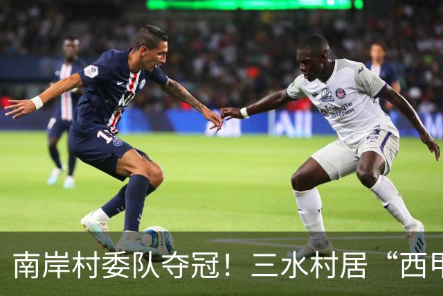 南岸村委队夺冠！三水村居“西甲”燃情落幕